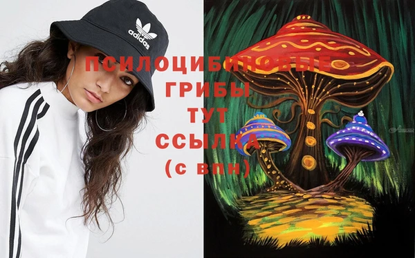 PSILOCYBIN Бородино